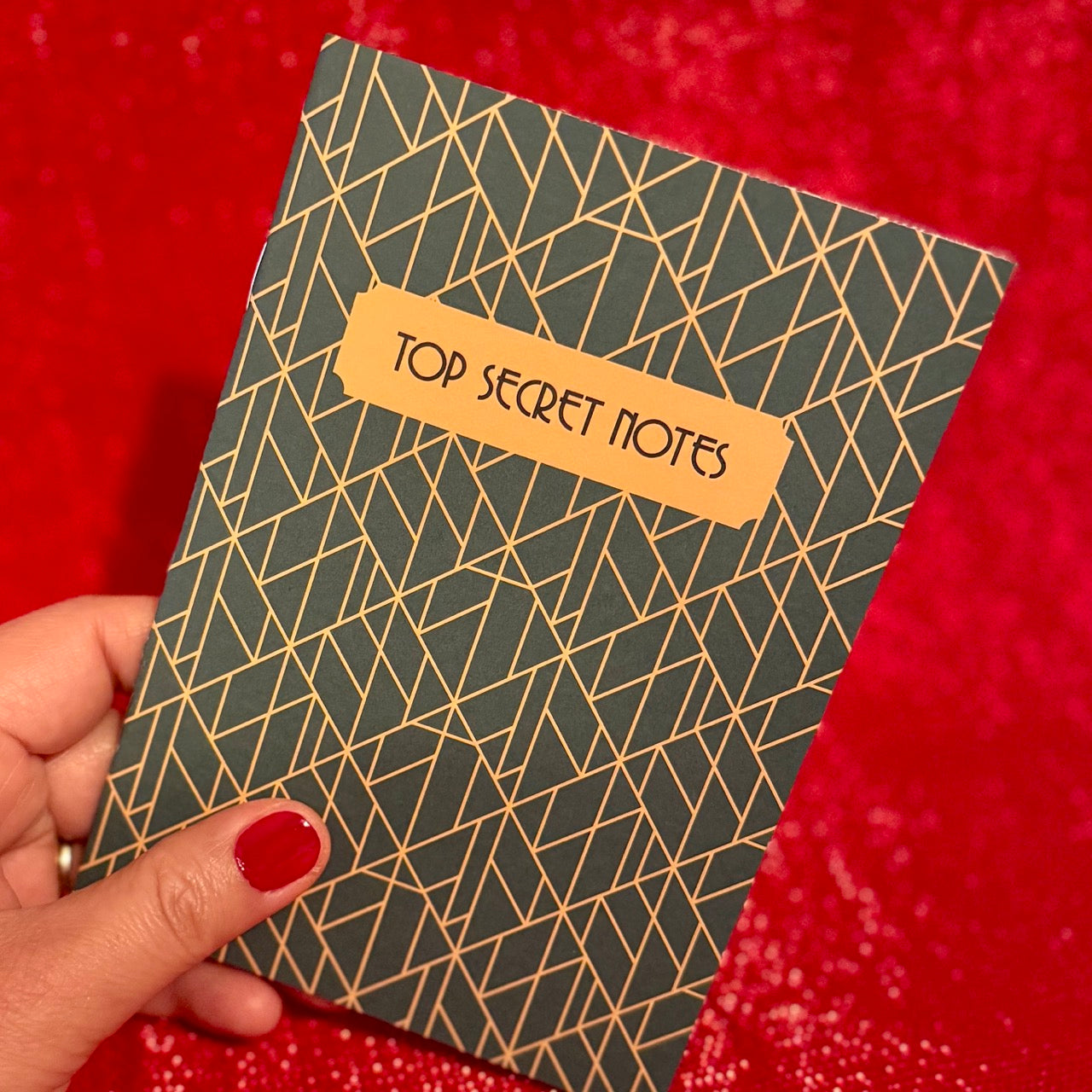 Plain notebook titled 'Top Secret Notes' (included in Partner in Crime Gift Box)